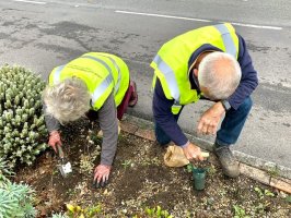 Bulb Planting